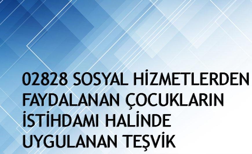 02828 Sayılı Teşvik