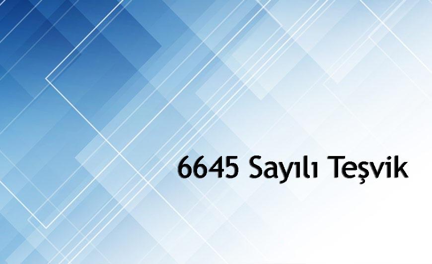 6645 Sayılı Teşvik